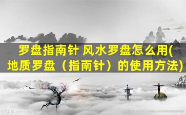 罗盘指南针 风水罗盘怎么用(地质罗盘（指南针）的使用方法)